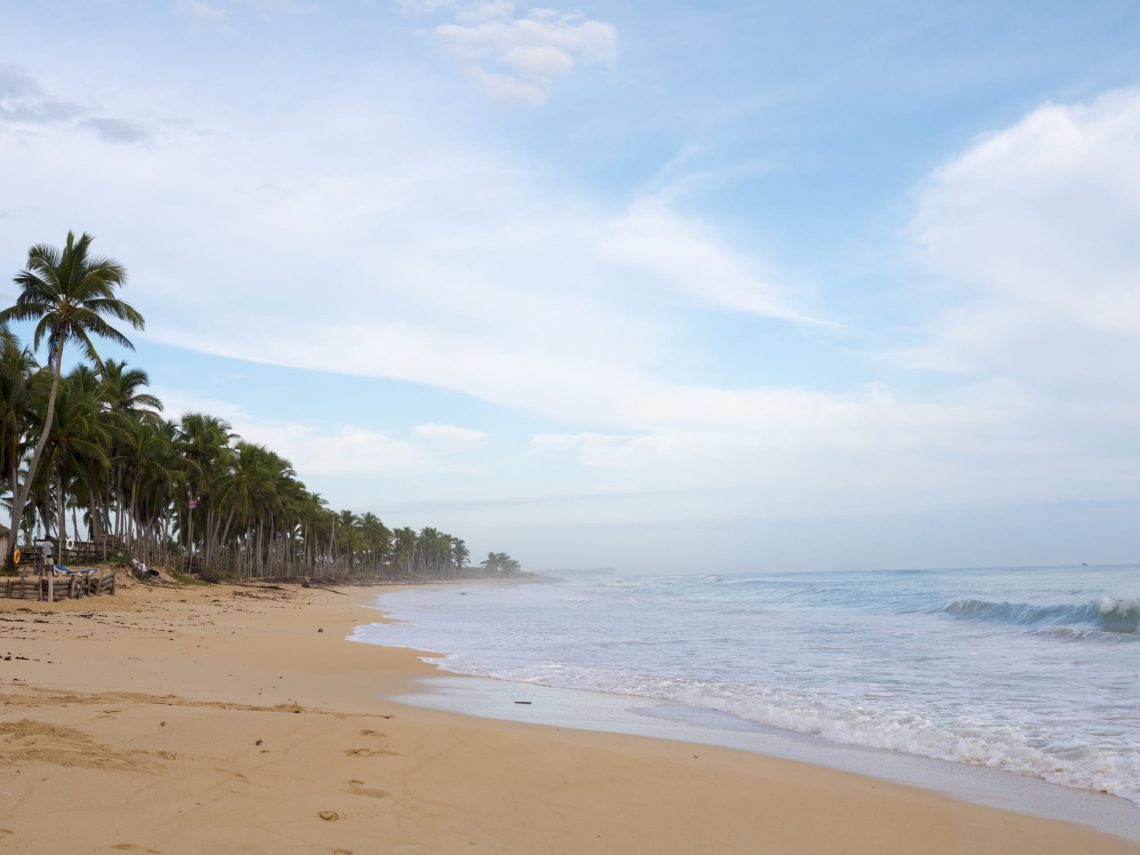 Фотографія тропічного пляжу з пальмами