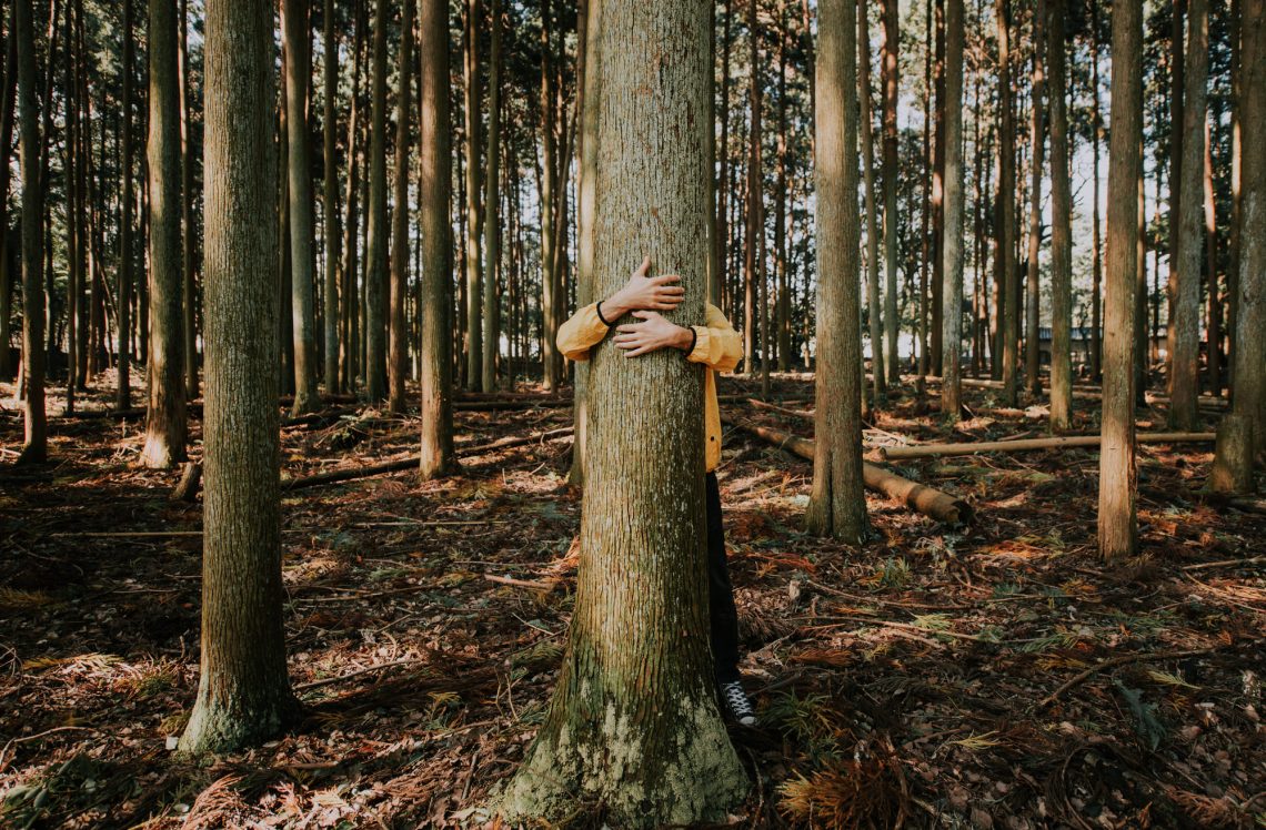 Фотографія руки обіймають дерево в осінньому лісі