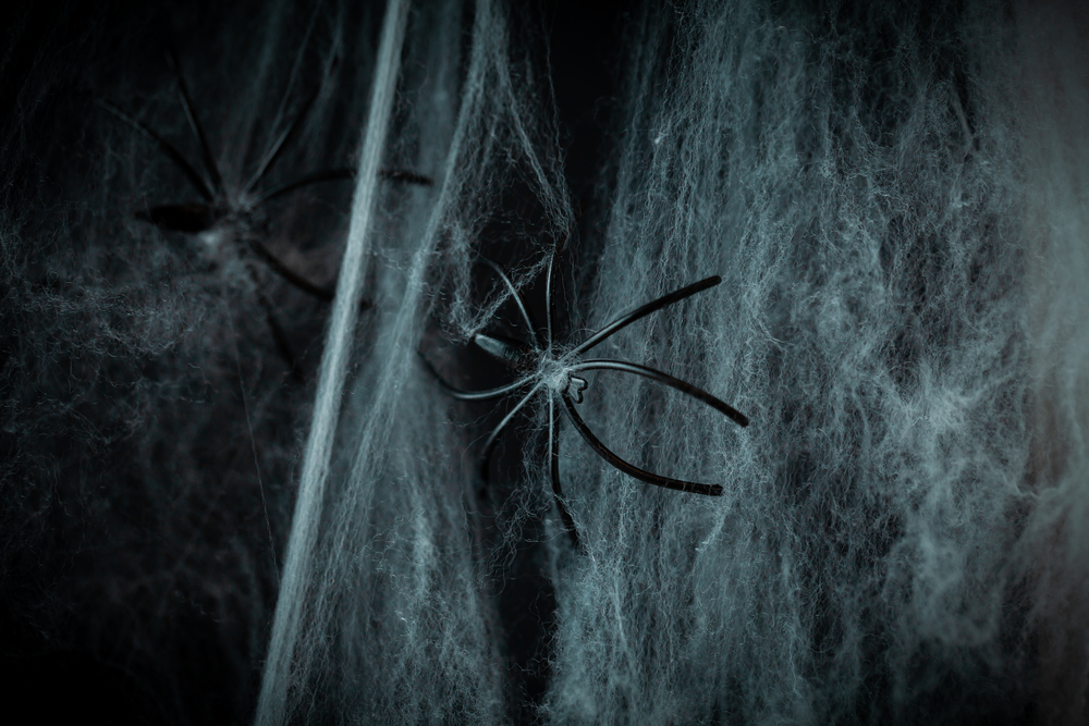 Фотографія чорний фон з павутиною і павуком