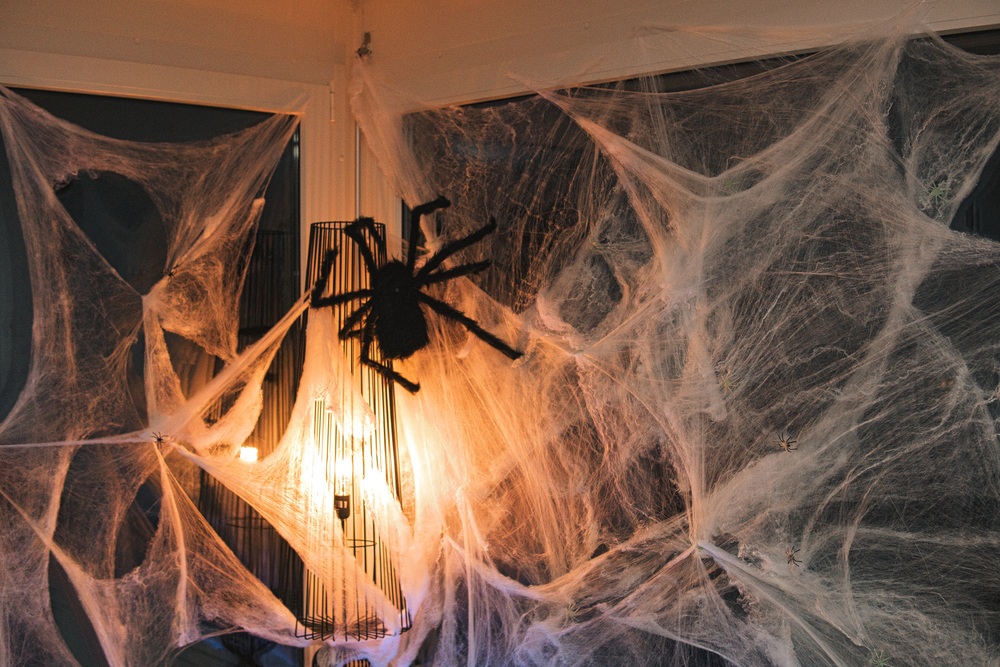 Фотографія декорації до Хелловіну з павутиною і великим павуком