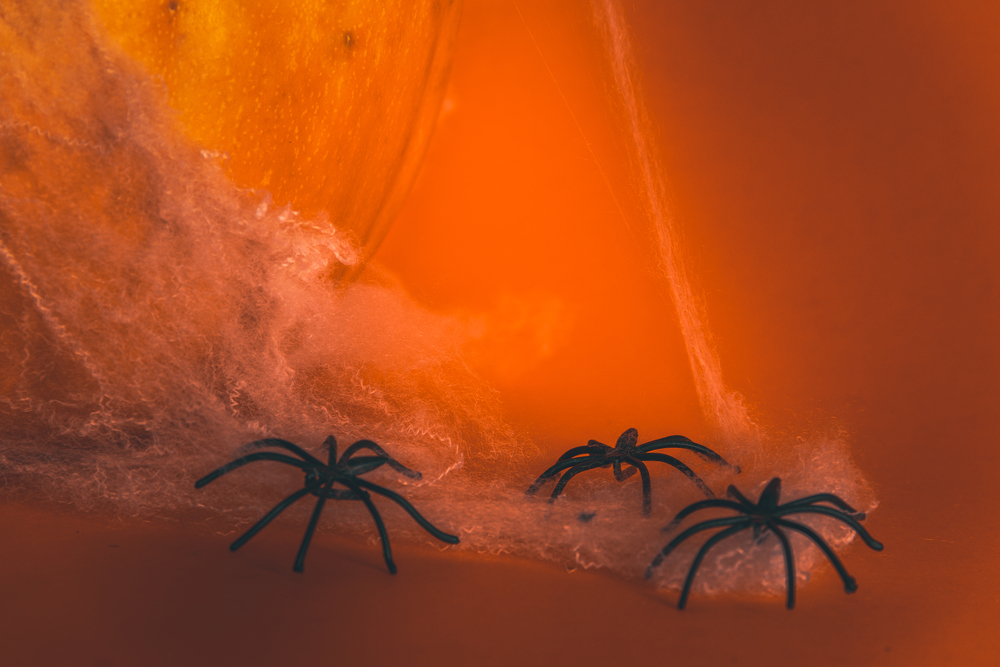 Фотографія павутина й іграшкові павуки, декорація до Хелловіну
