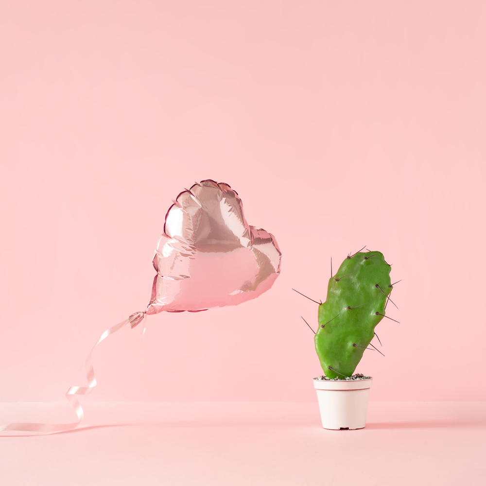 Фотографія рожева повітряна кулька у вигляді серця і кактус