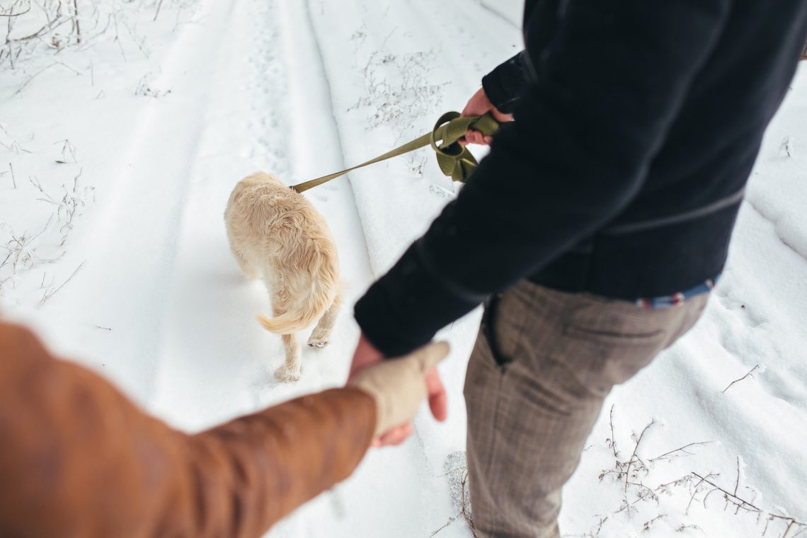 Young couple in love walking with dog