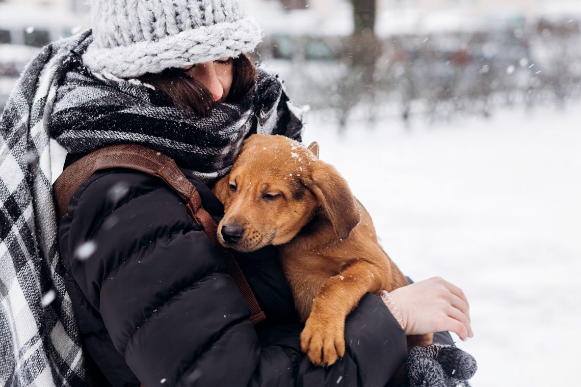 stylish hipster woman hugging and smiling cute puppy in snowy co