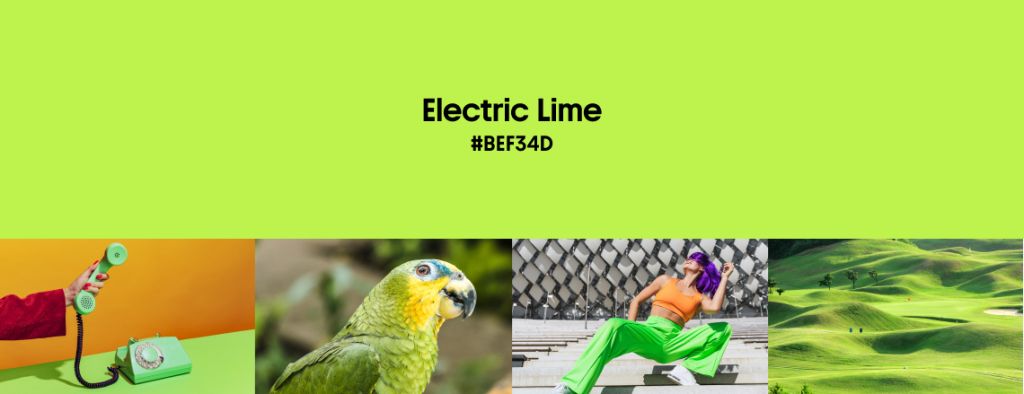Electric Lime: visuals with Electric Lime color and HEX code