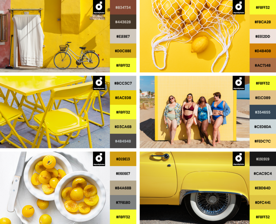 Zesty Lemon: visuals with Zesty Lemon color and color palette