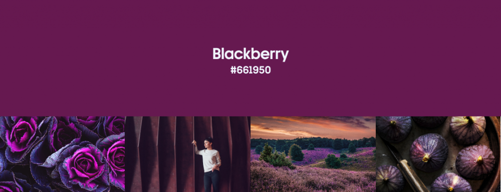 Fall Color Trends 2023 Blackberry cover