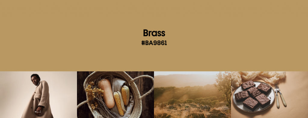 Fall Color Trends 2023 Brass cover