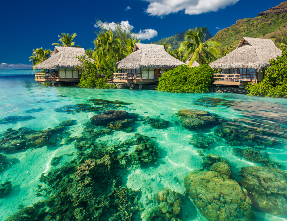 Фото тропічний острів з лазуровою водою і пальмами