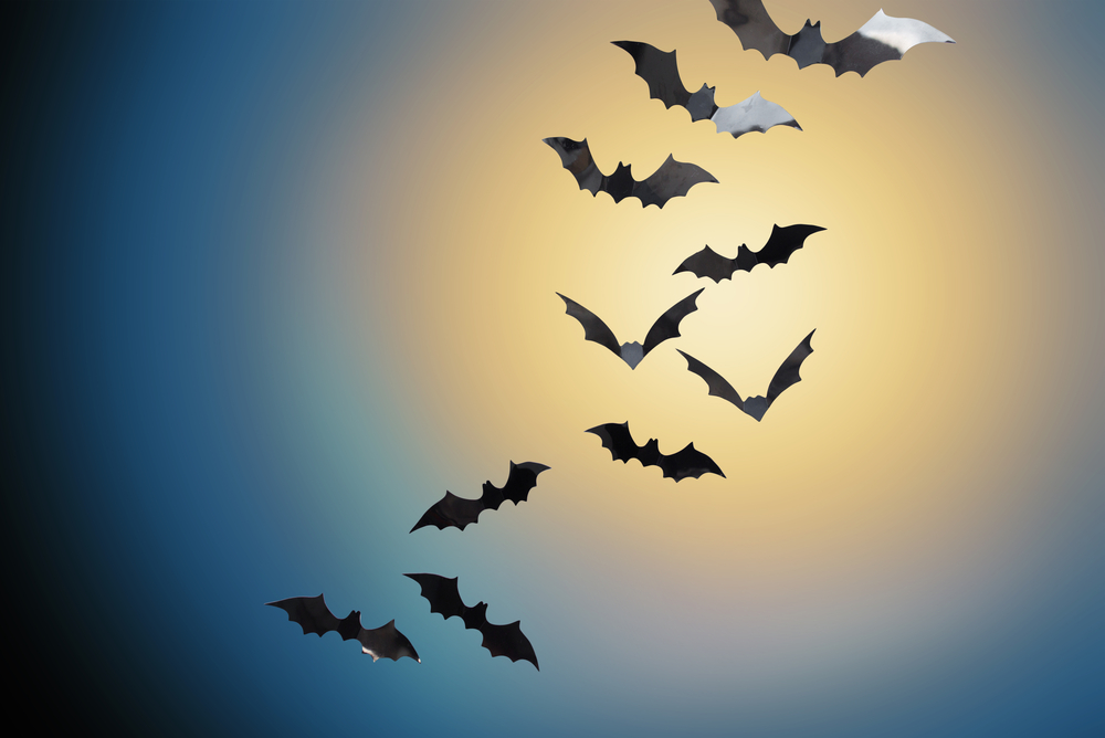 bats flying over moonlight in night sky background