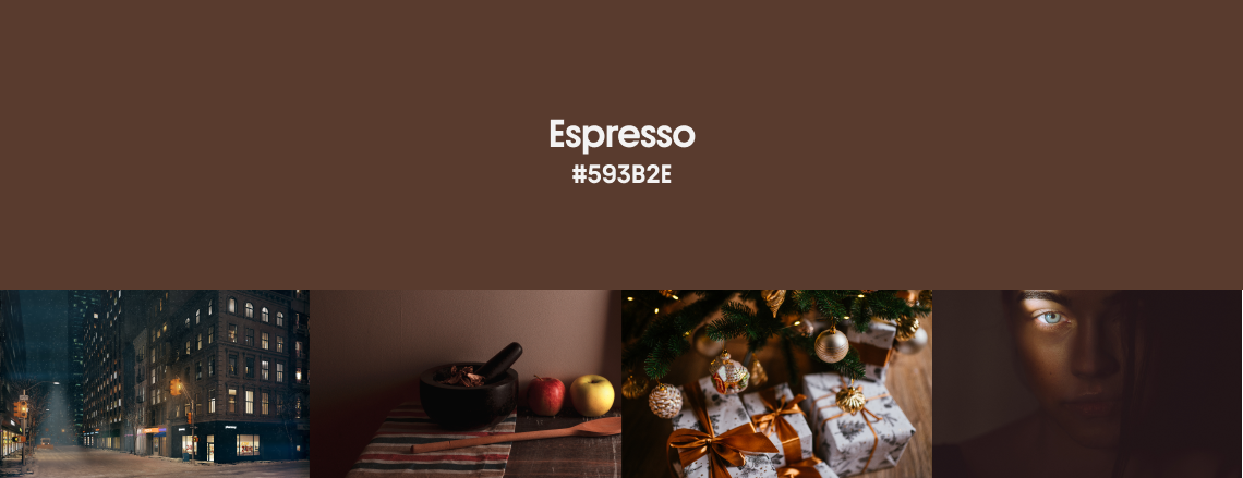 Winter Color Trends 2024 Espresso Cover 