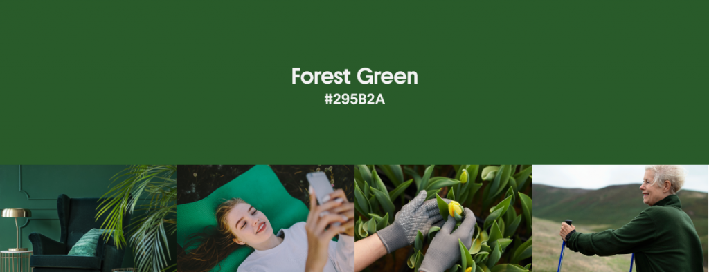 Forest Green cover
