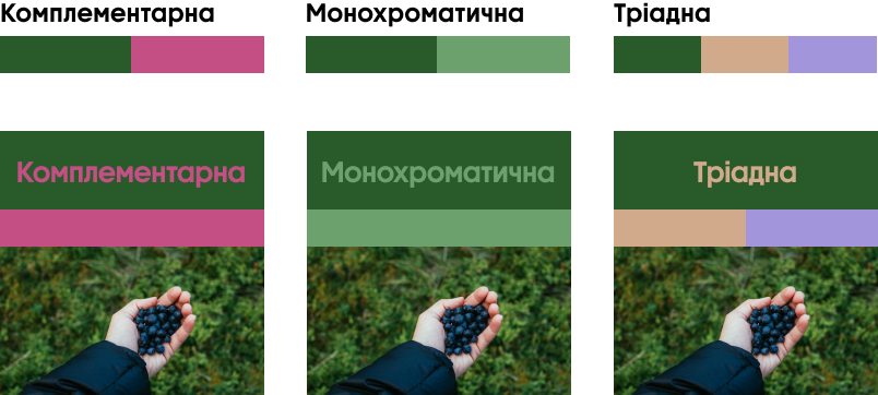 Лісова зелень палітра - Весняні трендові кольори 2024 