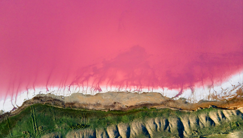 Top view of colorful pink lake coast at Ukraine. bright pink and purple water