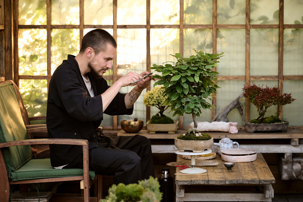 Photo A young man use scissors to decorate the branches of a new bonsai tree in a garden house